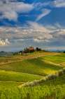 Italy-Tuscany A view of the vineyards and villa in Chianti region of Tuscany-Italy Art Print